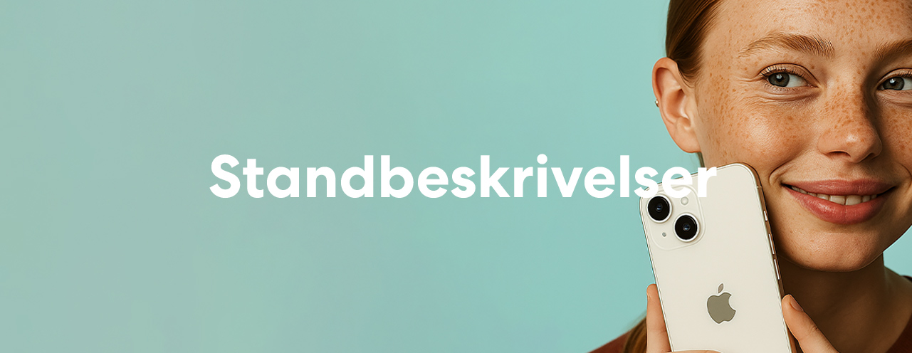 standbeskrivelser