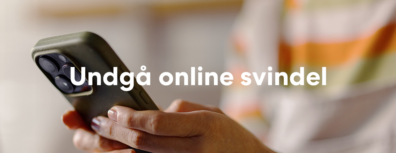 undgå online svindel