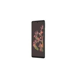 6875cc5b_pixel-6