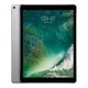 68917e4c_ipad-pro-9-7-gen-1