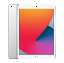 6a7d7b85_ipad-10-2-gen-8