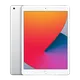 6a7d1783_ipad-10-2-gen-8