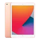 6a74a2f1_ipad-10-2-gen-8