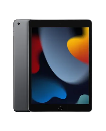 Apple iPad 10.2" Gen. 9 256 GB WiFi + 4G Space Grey Okay | GreenMind ...