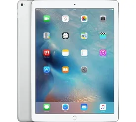 691558f5_ipad-pro-12-9-gen-1