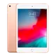 6a053e45_ipad-mini-7-9-gen-5
