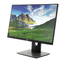 69e1a25b_professional-p2319h