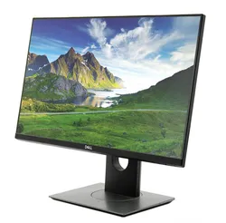 69f80d67_professional-p2319h